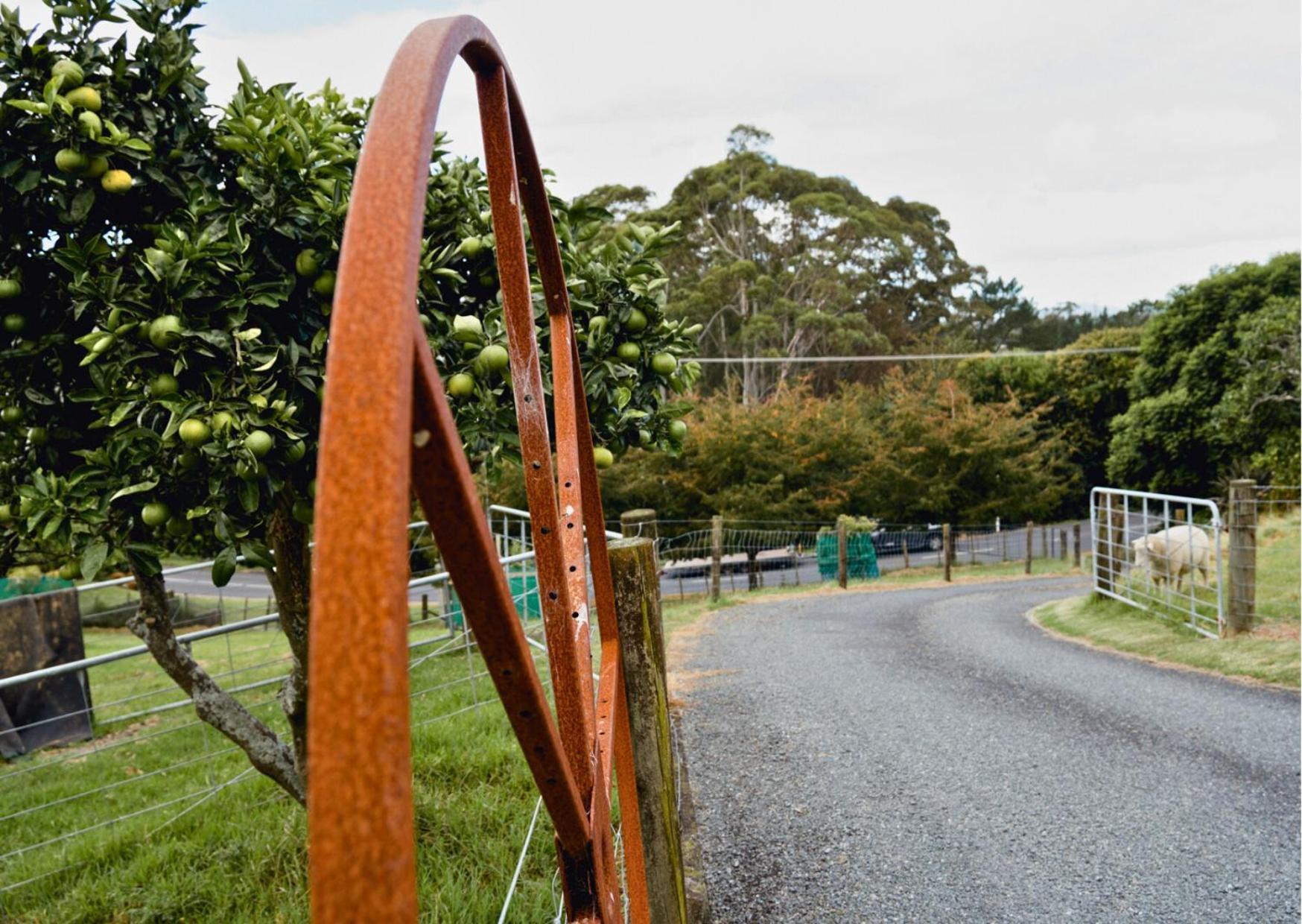 Minden Meadows Retreat Hotel Tauranga Bagian luar foto